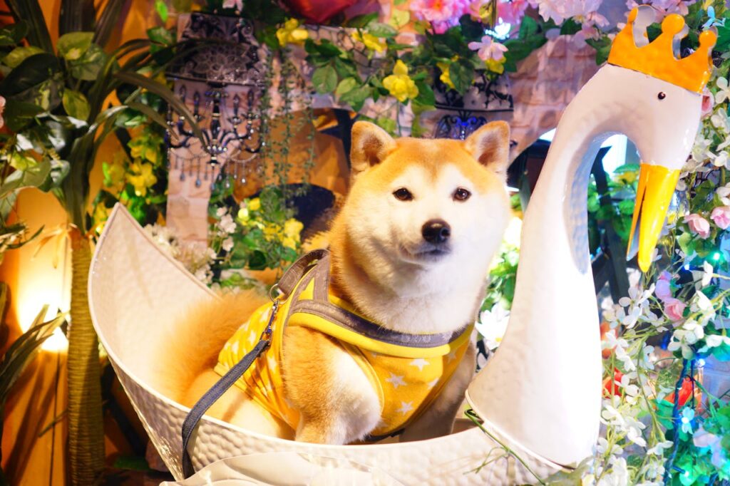 Adorable Shiba Inu in a floral scene with vibrant colors and decorative swan.